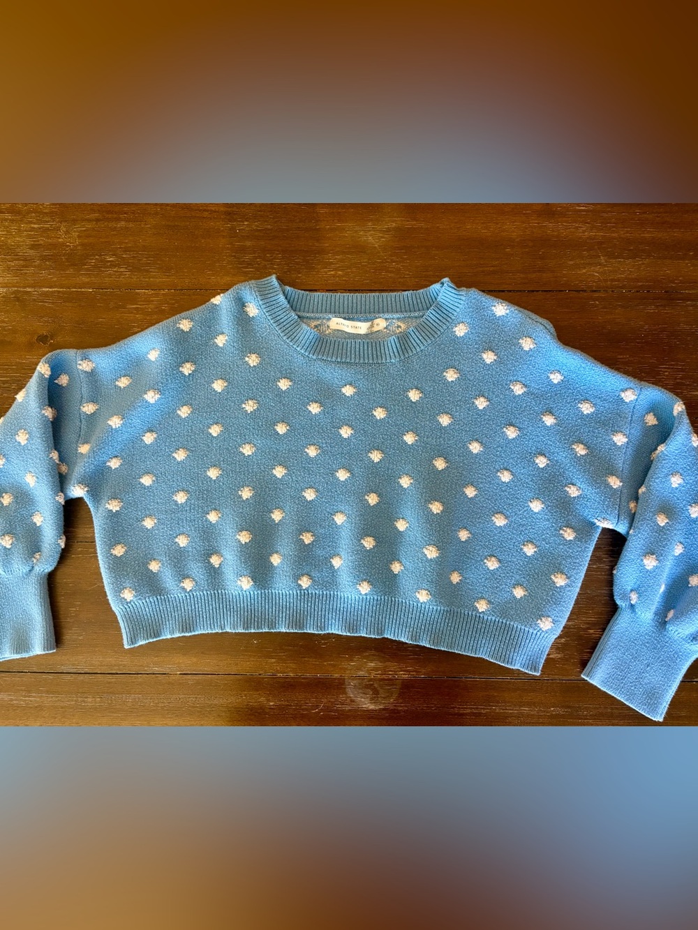 Altar'd State Light Blue Crewneck Sweater with White Dot Texture